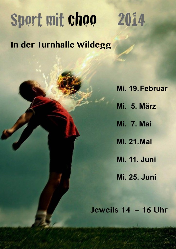 sportflyer 1. halbjahr 2014
