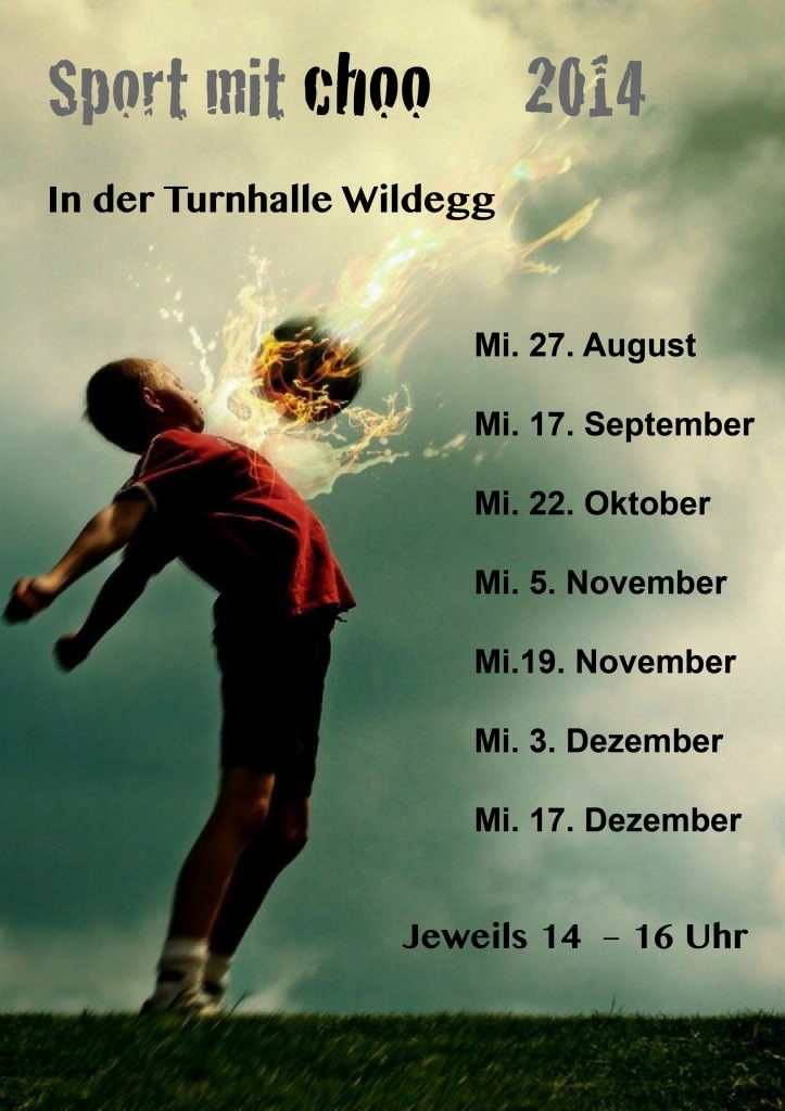 sportflyer 2. halbjahr 2014